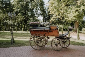 85 10 Sara Manuel DSC00869